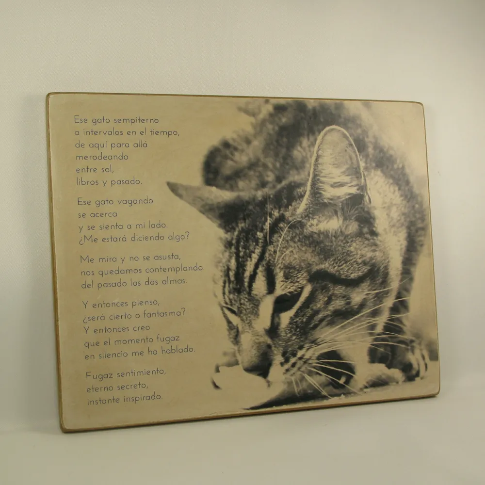 Tabla "Ese gato sempiterno"